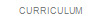 CURRICULUM